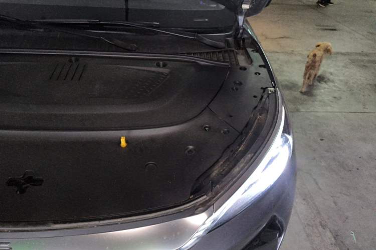 Used BYD Yuan PLUS 2025 Intelligent Driving Version 430 KM – Leading Edition Engine Bay Left