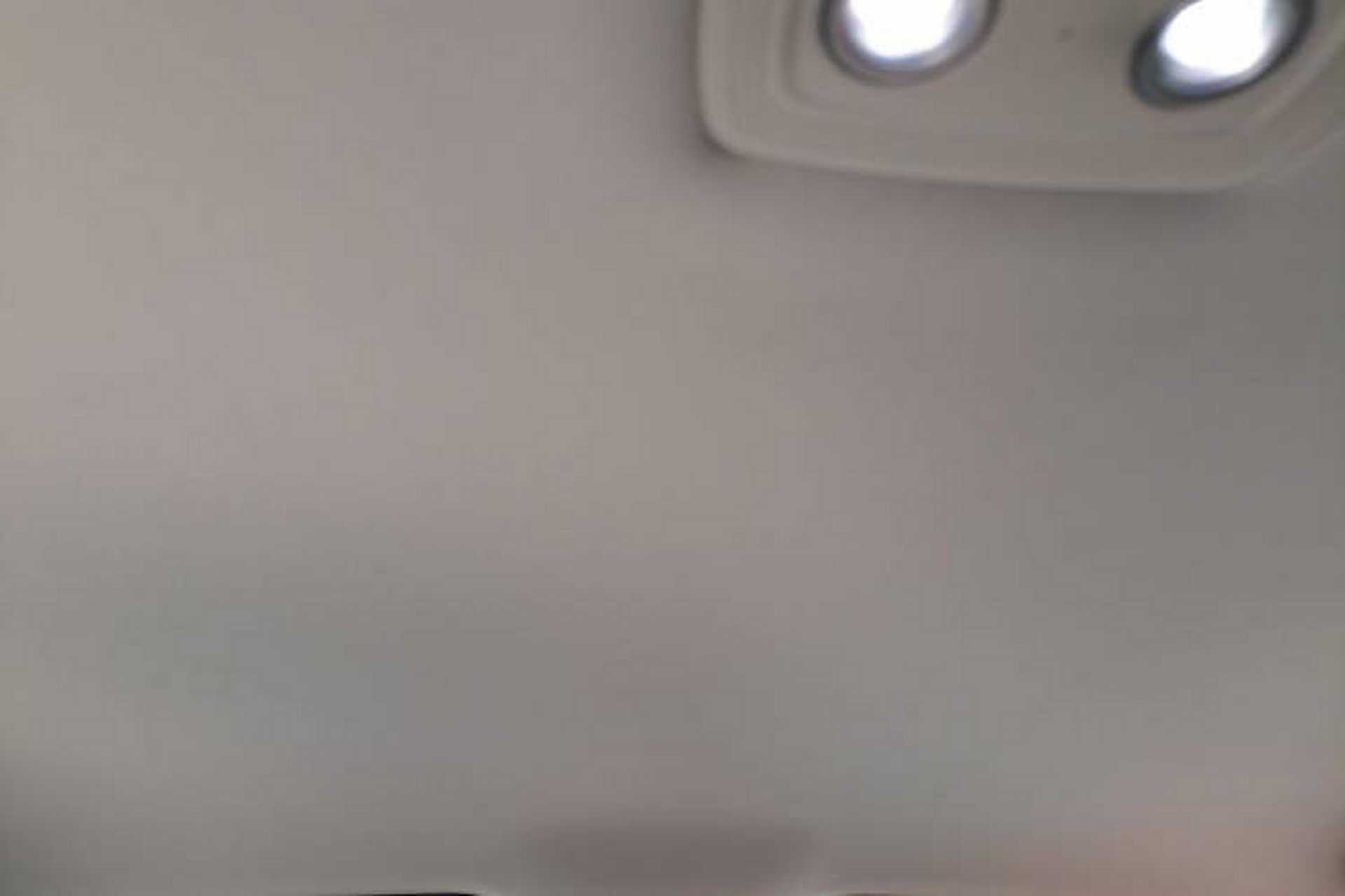 Used BYD Yuan PLUS 2025 Intelligent Driving Version 510 km Leading Edition Headliner