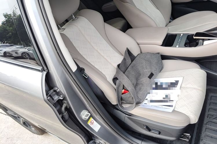 Used BYD Yuan PLUS 2025 Intelligent Driving Version 430 KM Beyond-Range Edition Right Front Seat