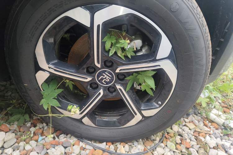 Used BYD Yuan PLUS 2025 Intelligent Driving Version 430 KM – Leading Edition Right Front Wheel Hub