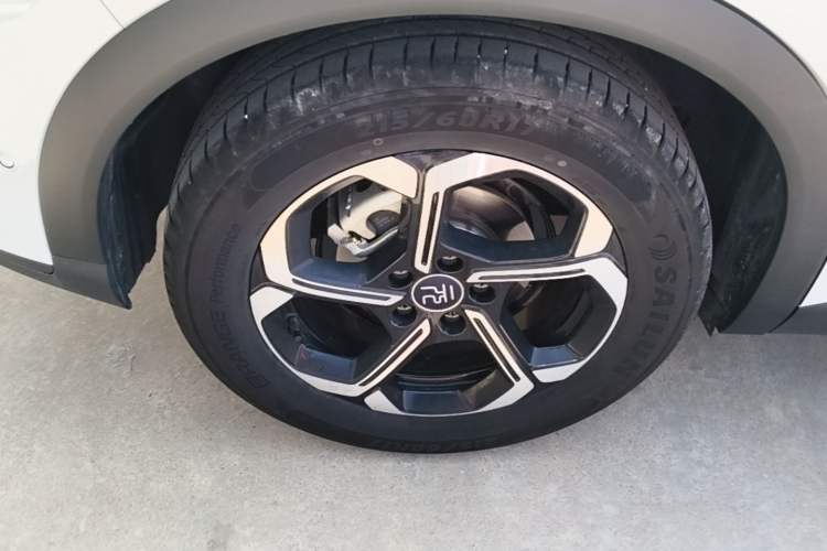 Used BYD Yuan PLUS 2025 Intelligent Driving Version 510 km Leading Edition Exterior 5