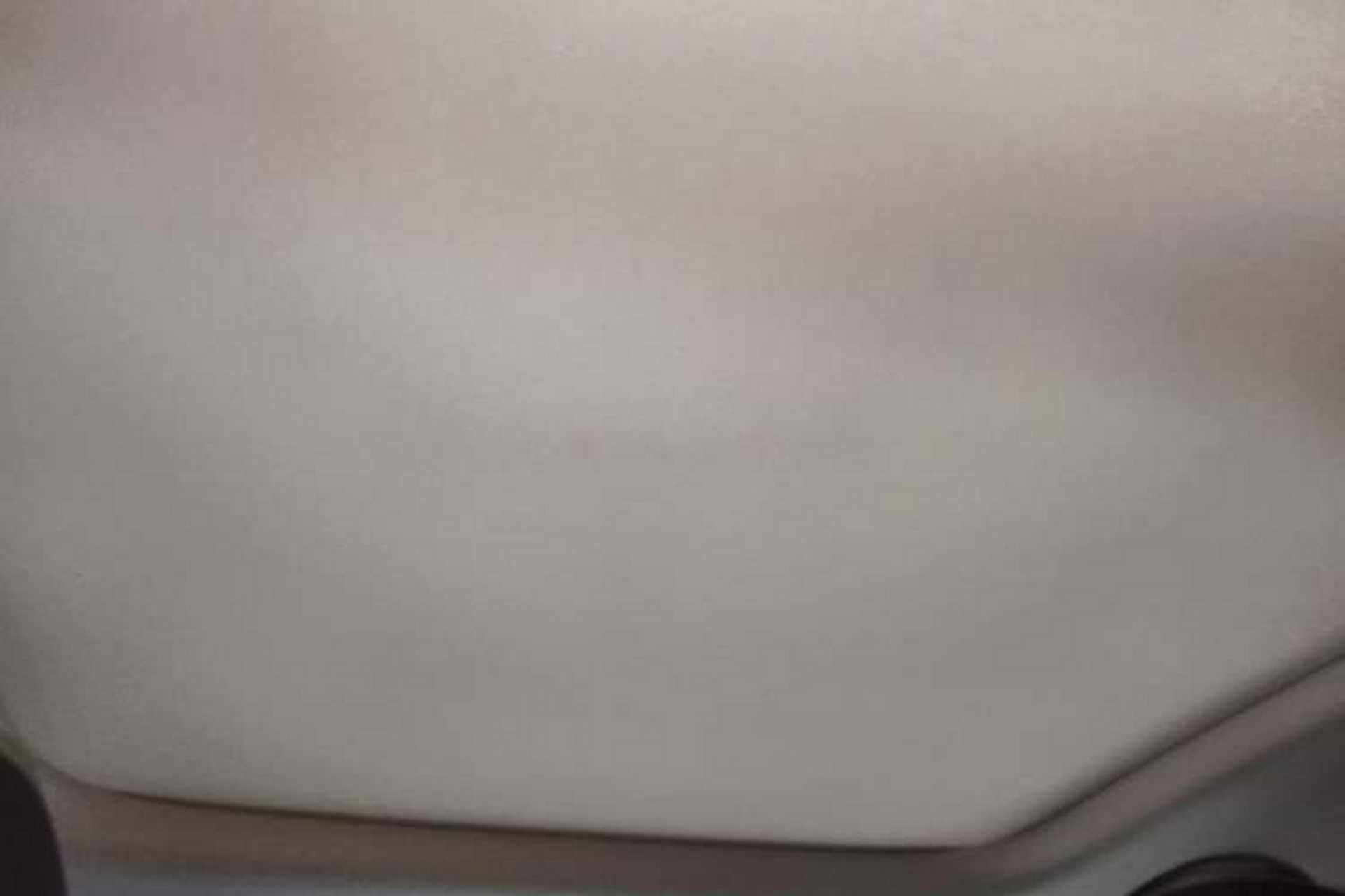 Used BYD Yuan PLUS 2025 Intelligent Driving Version 510 km Excellence Edition Headliner