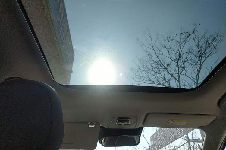 Used BYD Yuan PLUS 2025 Intelligent Driving Version 510 km Excellence Edition Headliner