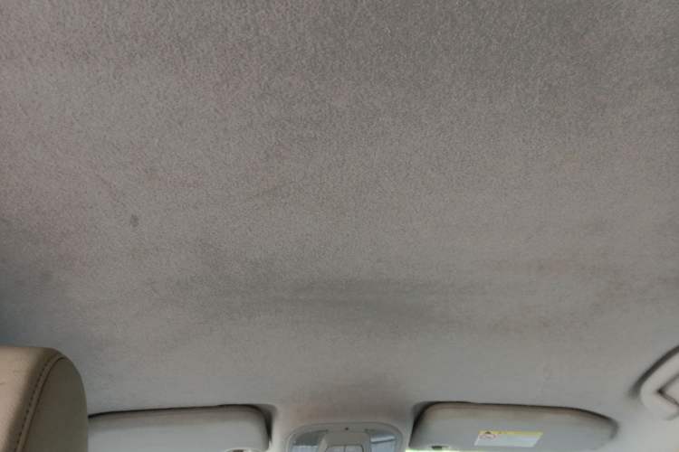 Used BYD Yuan Pro 2021 "Love for a Lifetime" Edition Headliner