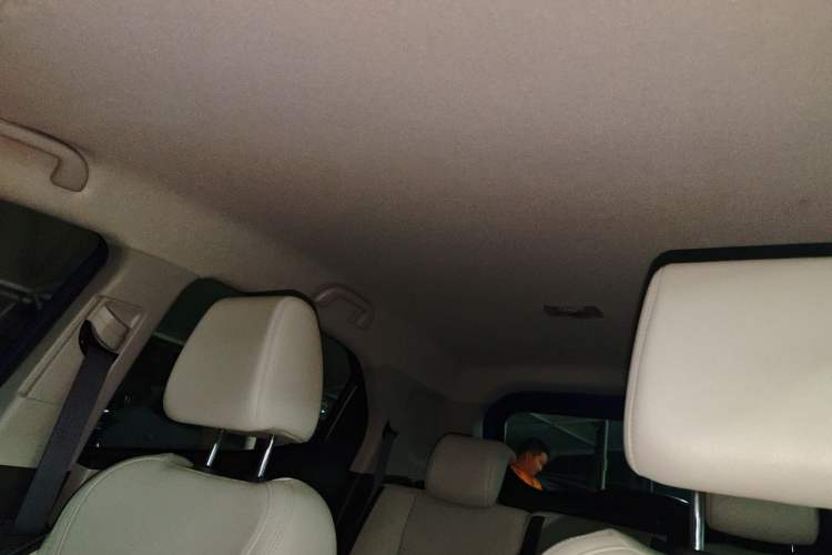 Used BYD Yuan Pro 2021 "Love for a Lifetime" Edition Headliner