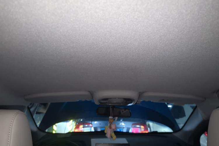 Used BYD Yuan Pro 2021 401 km Luxury Version Headliner