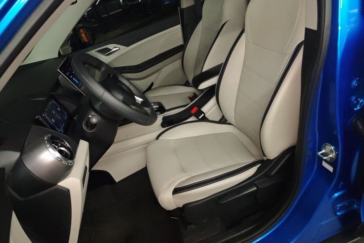 Used BYD Yuan Pro 2021 "Love for a Lifetime" Edition Left Front Seat