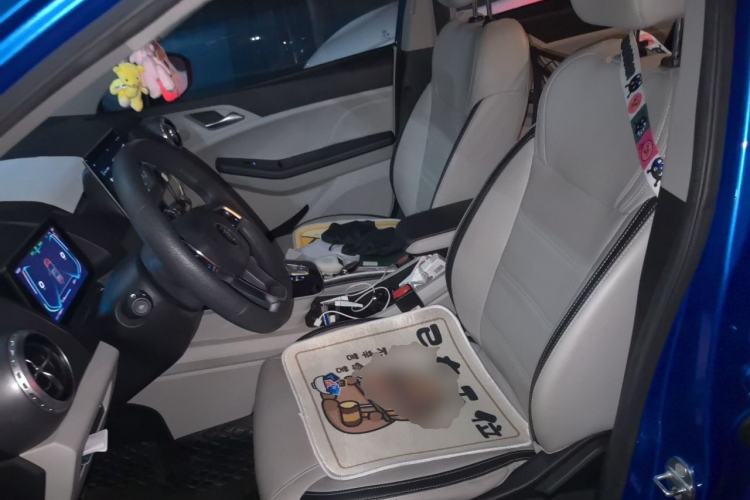 Used BYD Yuan Pro 2021 401 km Luxury Version Left Front Seat