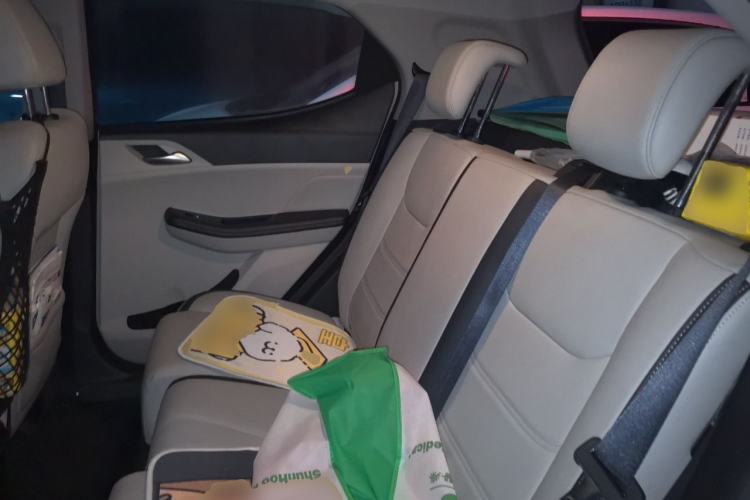 Used BYD Yuan Pro 2021 401 km Luxury Version Left Rear Seat