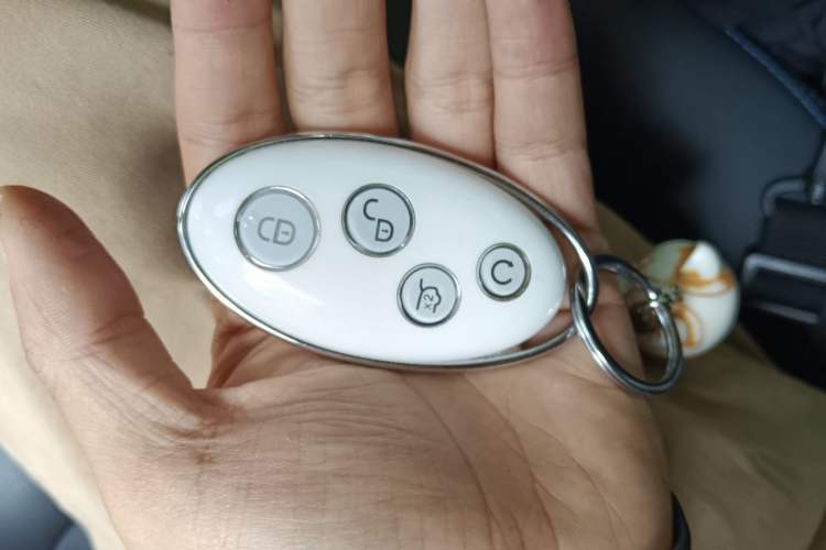 Used BYD Yuan Pro 2021 301KM Comfort Version Vehicle Key