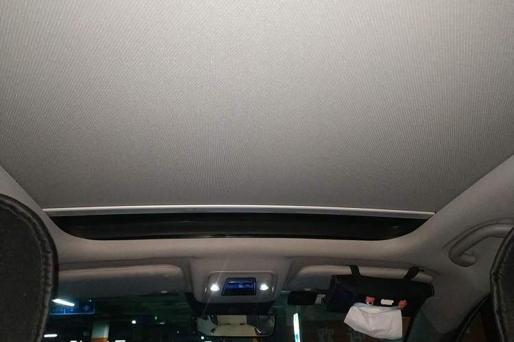 Used BYD Yuan Pro 2021 401 km Deluxe Version Headliner