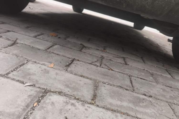 Used BYD Yuan Pro 2021 "Love for a Lifetime" Edition Chassis Rear