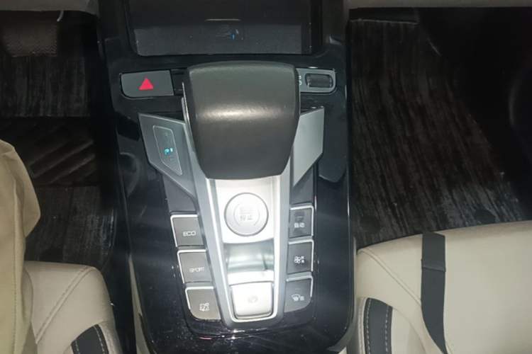 Used BYD Yuan Pro 2021 401 km Deluxe Version Gear Lever