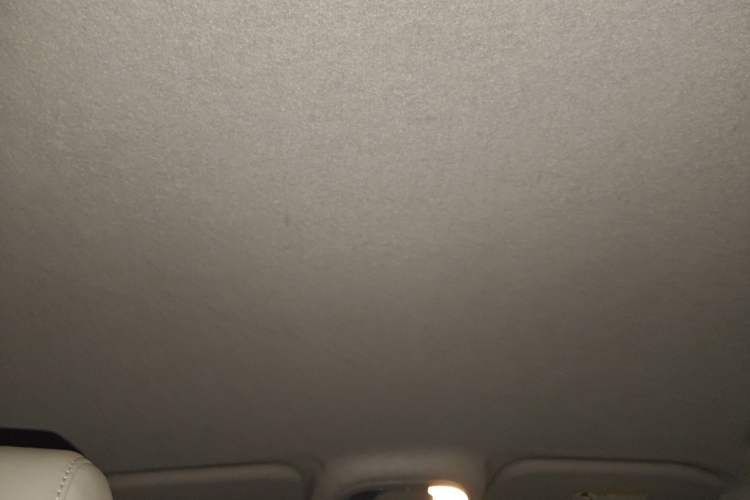 Used BYD Yuan Pro 2021 "Love for a Lifetime" Edition Headliner