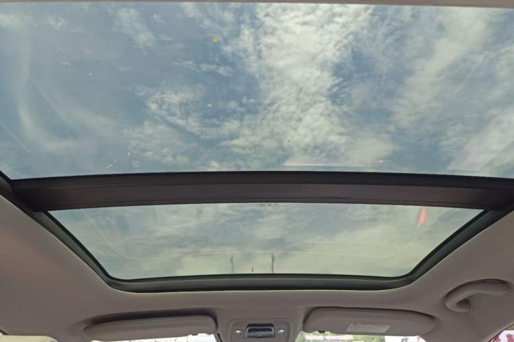 Used BYD Yuan Pro 2021 Lifetime Edition Headliner