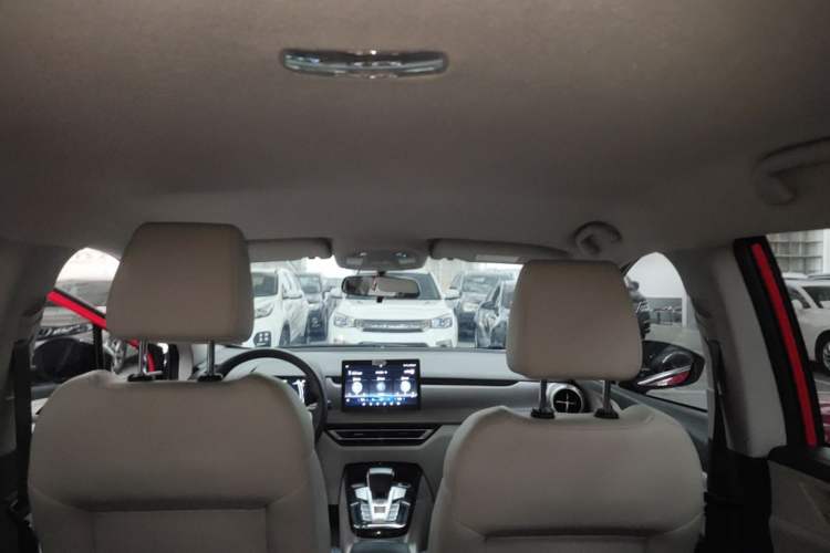 Used BYD Yuan Pro 2021 "Love for a Lifetime" Edition Headliner