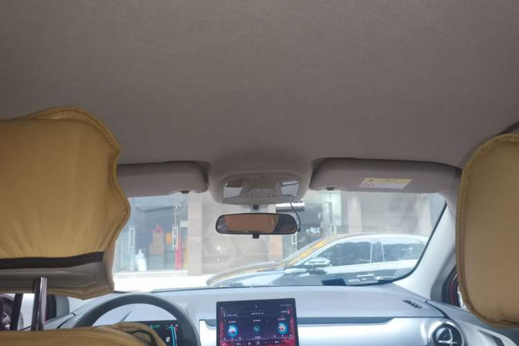 Used BYD Yuan Pro 2021 "Love for a Lifetime" Edition Headliner