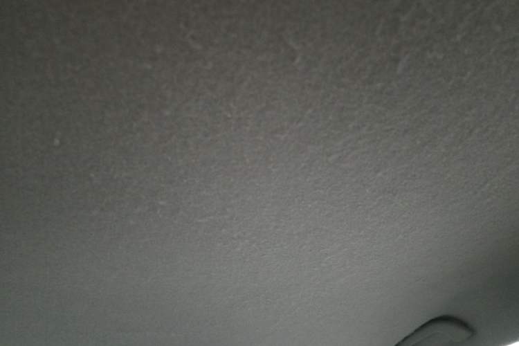 Used BYD Yuan Pro 2021 "Love for a Lifetime" Edition Headliner