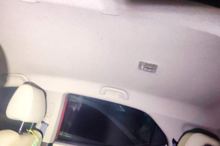 Used BYD Yuan Pro 2021 "Love for a Lifetime" Edition Headliner