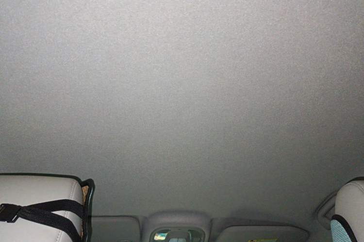 Used BYD Yuan Pro 2021 401 km Luxury Version Headliner