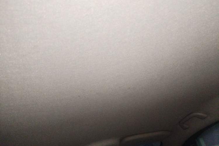 Used BYD Yuan Pro 2021 401 km Luxury Version Headliner