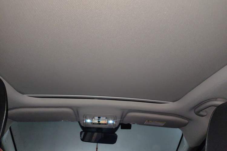 Used BYD Yuan Pro 2021 Lifetime Edition Headliner