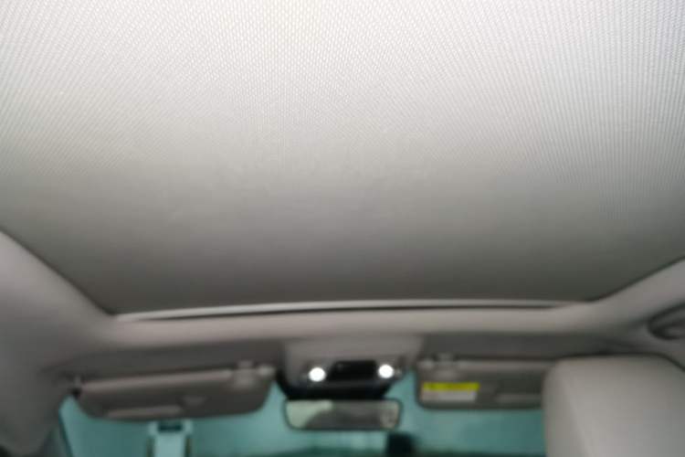 Used BYD Yuan Pro 2021 Lifetime Edition Headliner