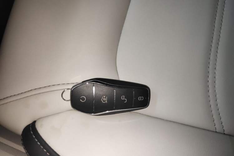 Used BYD Yuan Pro 2021 "Love for a Lifetime" Edition Interior 1