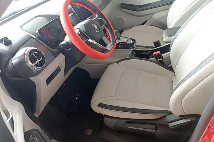 Used BYD Yuan Pro 2021 Lifetime Edition Left Front Seat