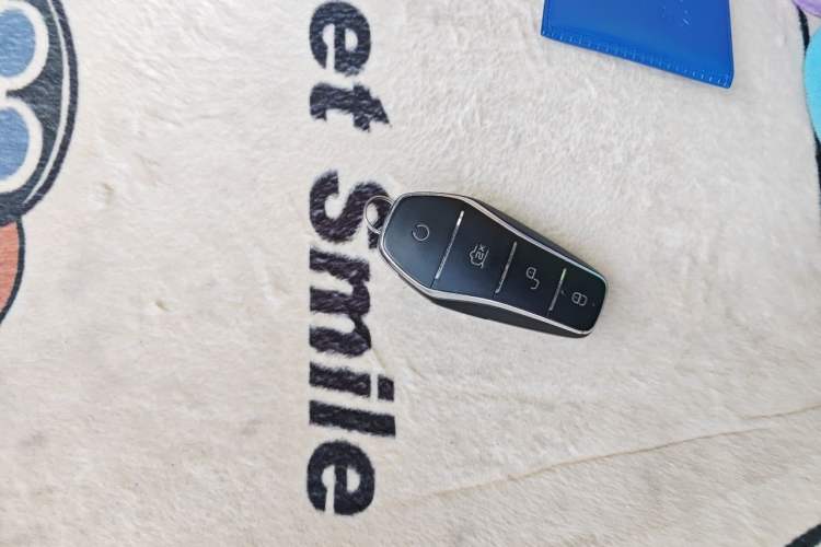 Used BYD Yuan Pro 2021 401 km Luxury Version Vehicle Key