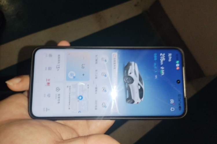 Used BYD Yuan Pro 2021 401 km Luxury Version Vehicle Key