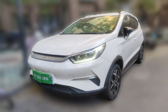 Used BYD Yuan Pro 2021 "Love for a Lifetime" Edition