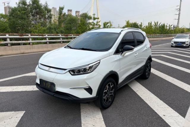 Used BYD Yuan Pro 2021 "Love for a Lifetime" Edition