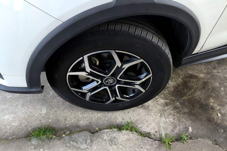 Used BYD Yuan Pro 2021 401 km Luxury Version Exterior 1
