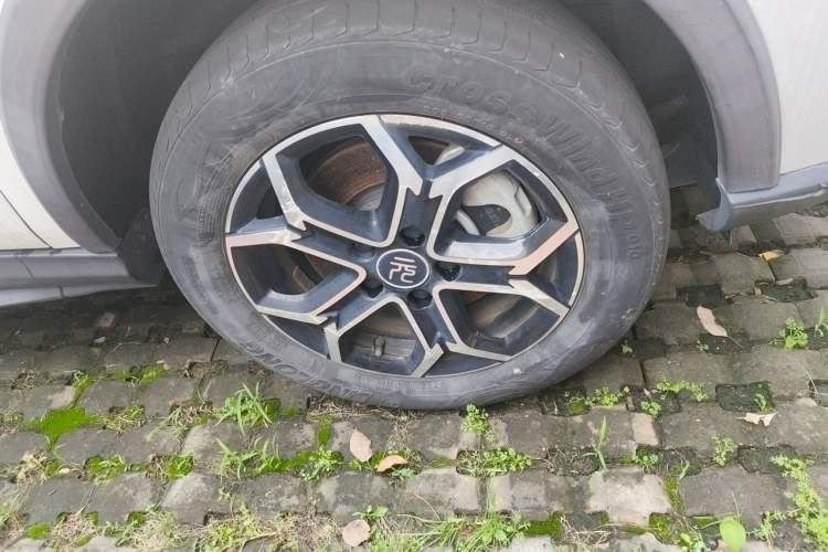 Used BYD Yuan Pro 2021 401 km Luxury Version Exterior 1