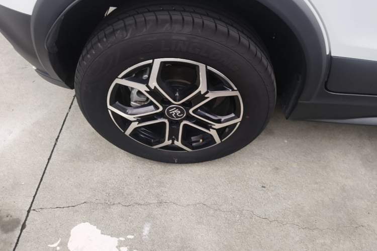 Used BYD Yuan Pro 2021 "Love for a Lifetime" Edition Exterior 5