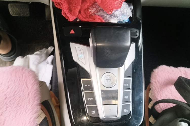 Used BYD Yuan Pro 2021 401 km Luxury Version Gear Lever