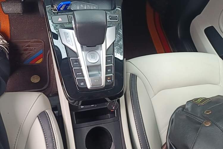Used BYD Yuan Pro 2021 Lifetime Edition Gear Lever