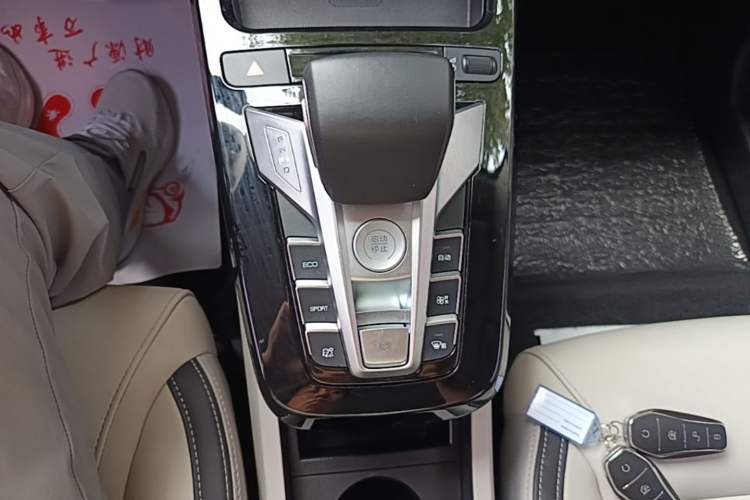 Used BYD Yuan Pro 2021 401 km Luxury Version Gear Lever