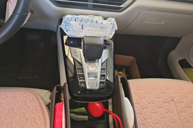 Used BYD Yuan Pro 2021 401 km Deluxe Version Gear Lever