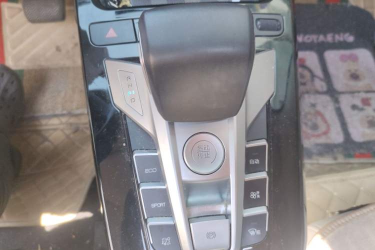 Used BYD Yuan Pro 2021 401 km Deluxe Version Gear Lever