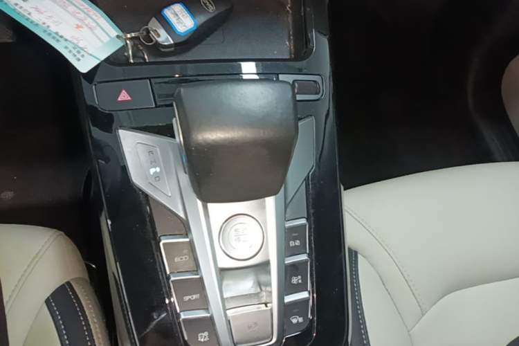 Used BYD Yuan Pro 2021 "Love for a Lifetime" Edition Gear Lever