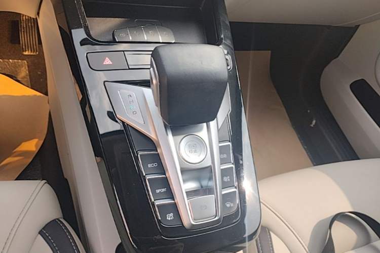 Used BYD Yuan Pro 2021 401 km Luxury Version Gear Lever