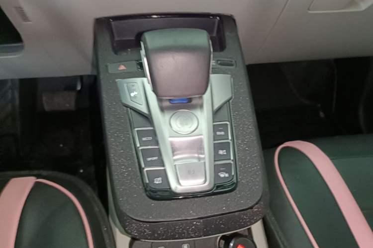 Used BYD Yuan Pro 2021 401 km Luxury Version Gear Lever