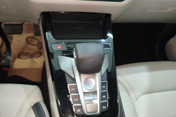 Used BYD Yuan Pro 2021 401 km Deluxe Version Gear Lever
