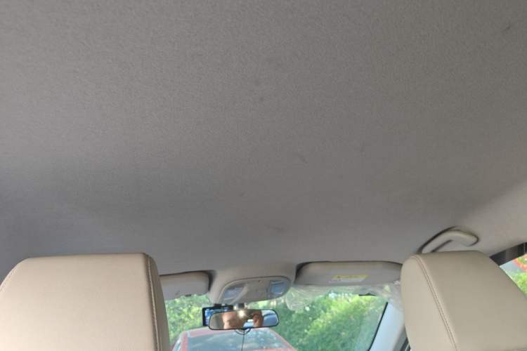 Used BYD Yuan Pro 2021 401 km Luxury Version Headliner
