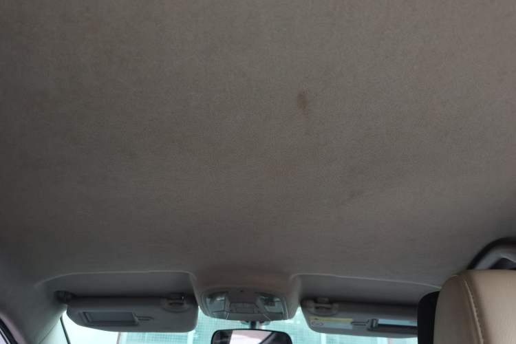 Used BYD Yuan Pro 2021 "Love for a Lifetime" Edition Headliner
