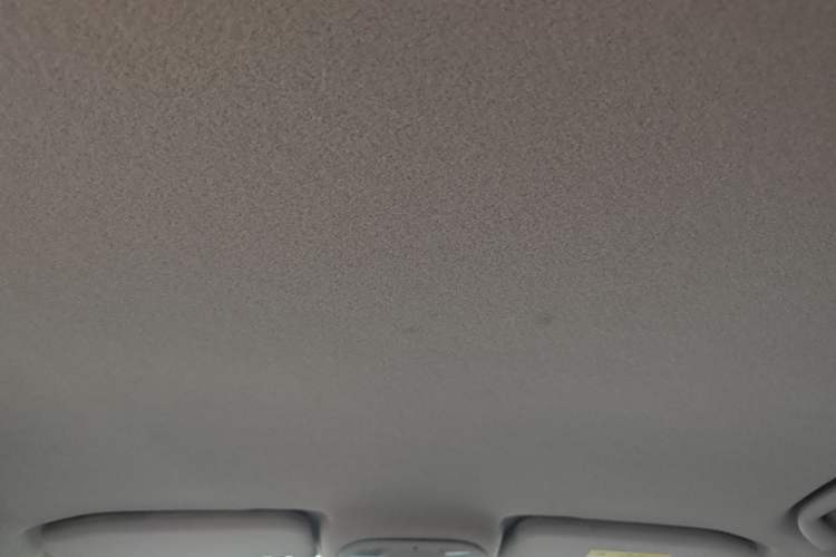 Used BYD Yuan Pro 2021 401 km Luxury Version Headliner