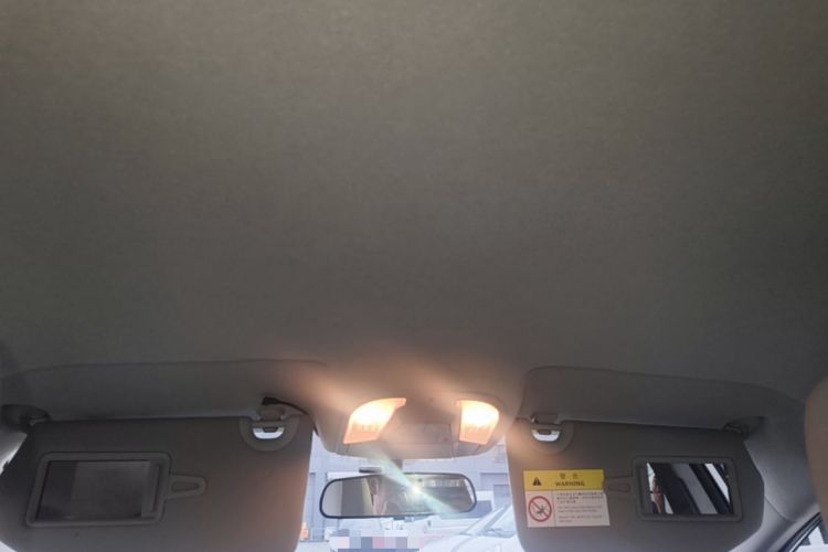 Used BYD Yuan Pro 2021 "Love for a Lifetime" Edition Headliner