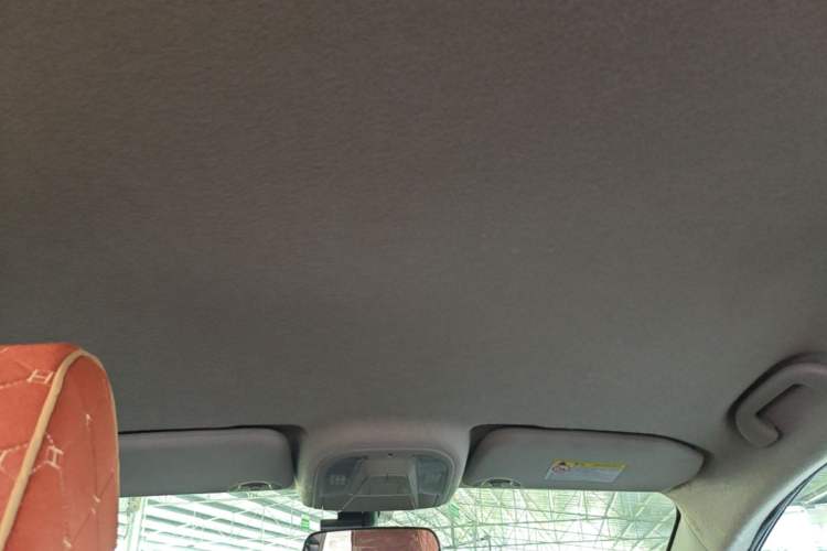 Used BYD Yuan Pro 2021 401 km Luxury Version Headliner